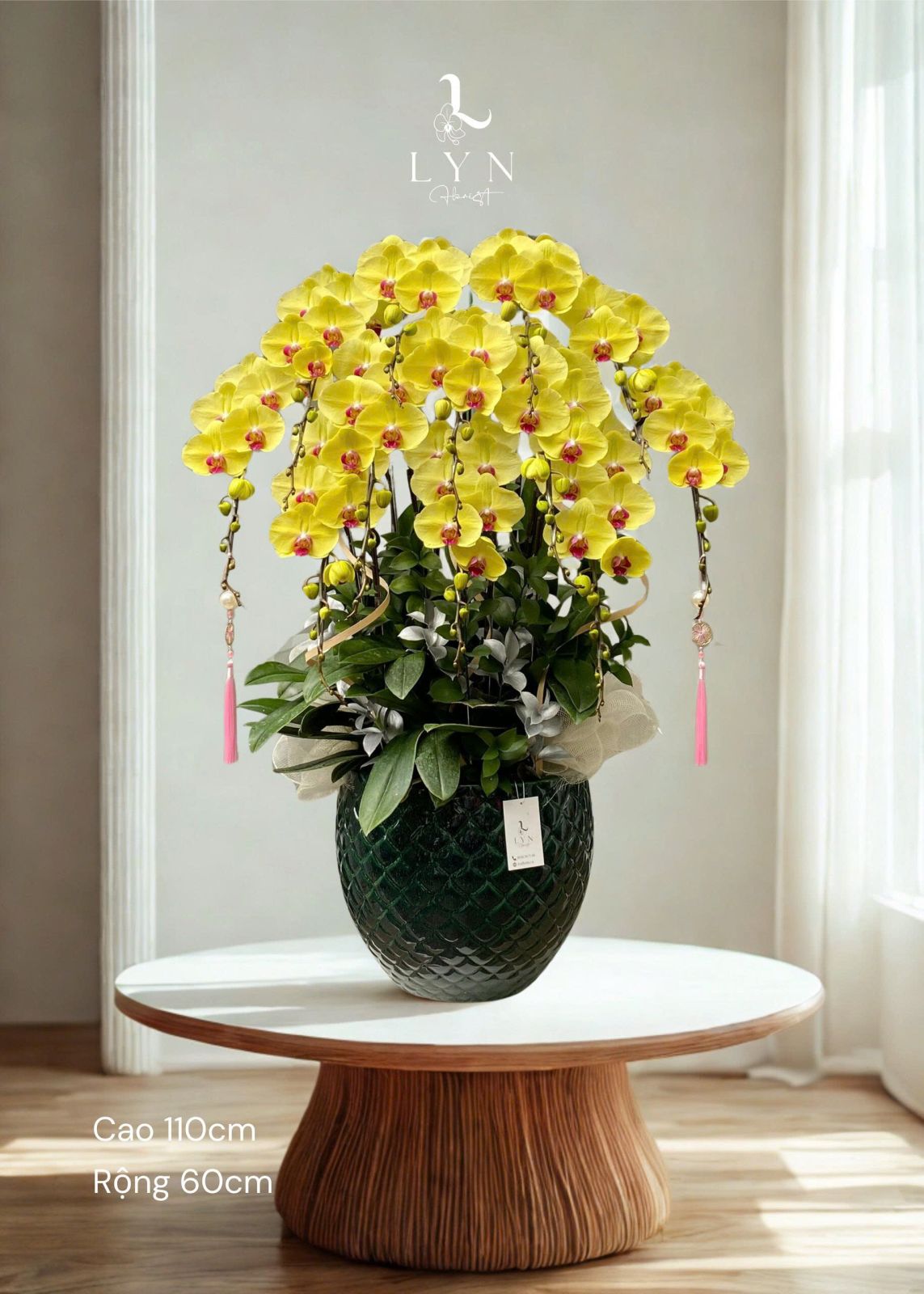 Chậu Hoa Lan Vàng